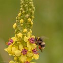 PTS-20130705-00005