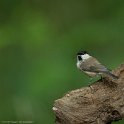PTS-20130807-00026