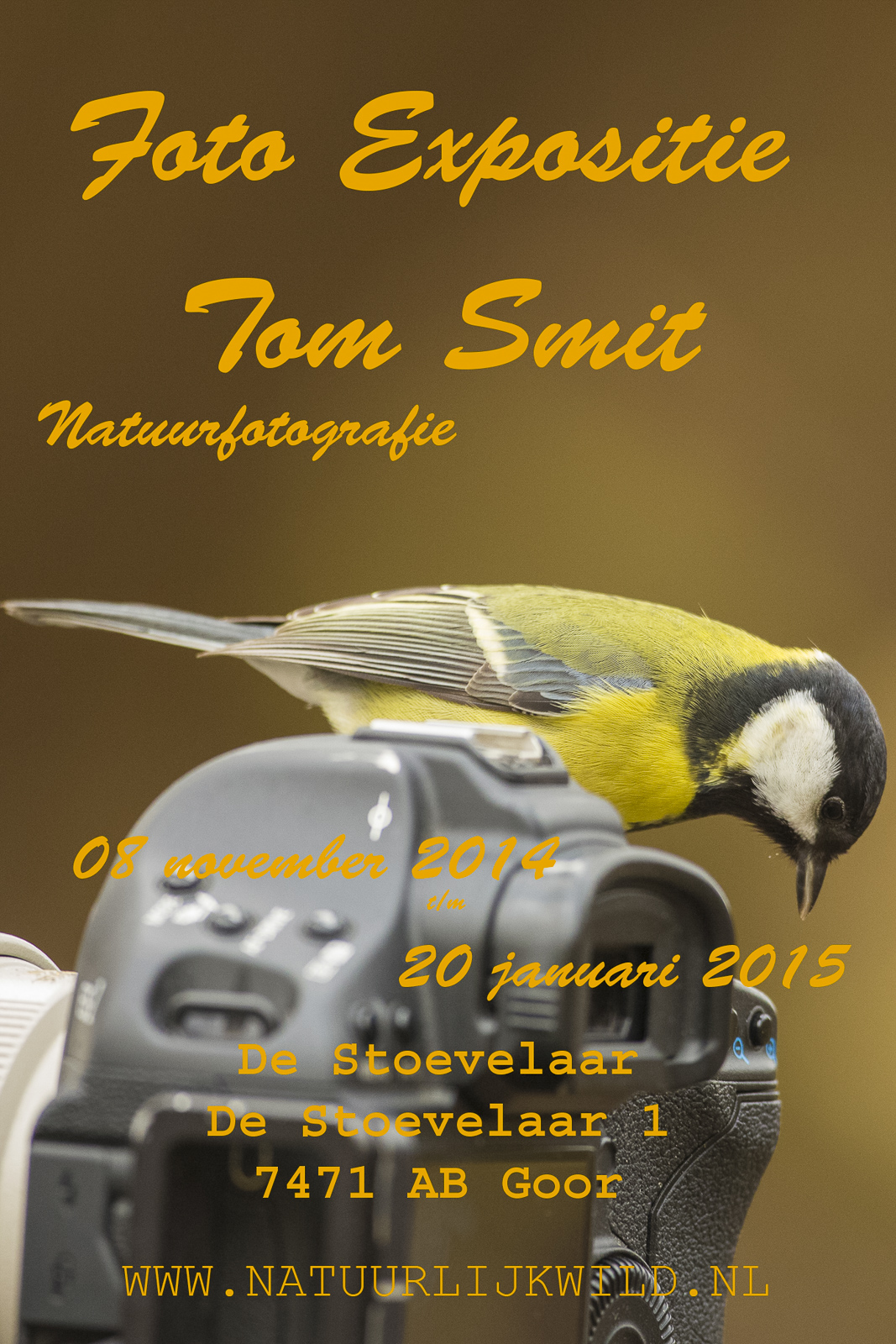 Affiche expo de Stoevelaar